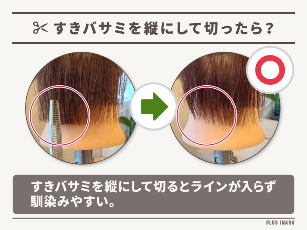 髪の毛 すき か た