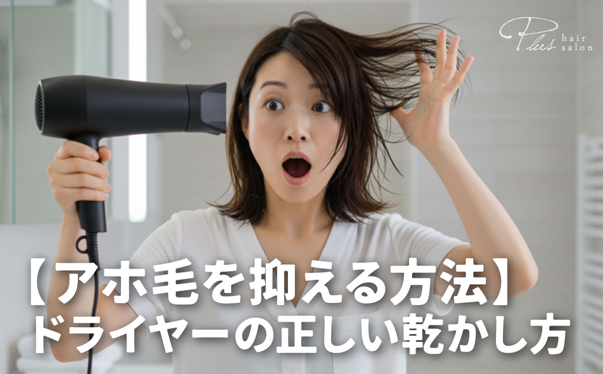 アホ毛を抑える方法-ドライヤーの正しい乾かし方